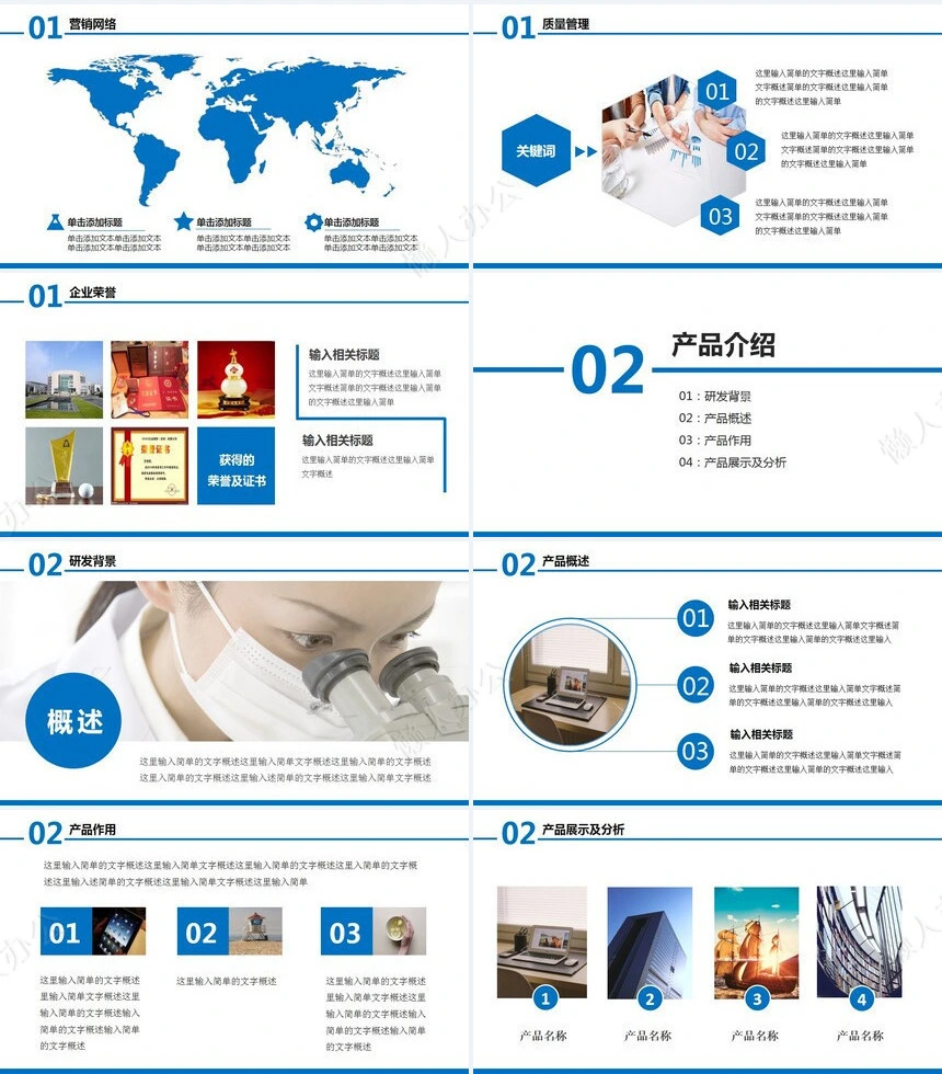 工作报告总结PPT(11)