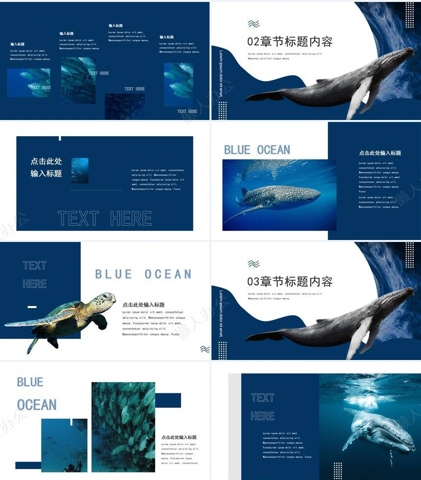 工作报告总结PPT(6)