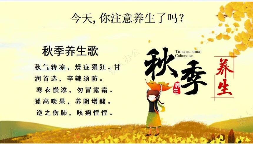 秋季养身通用PPT模版(31)
