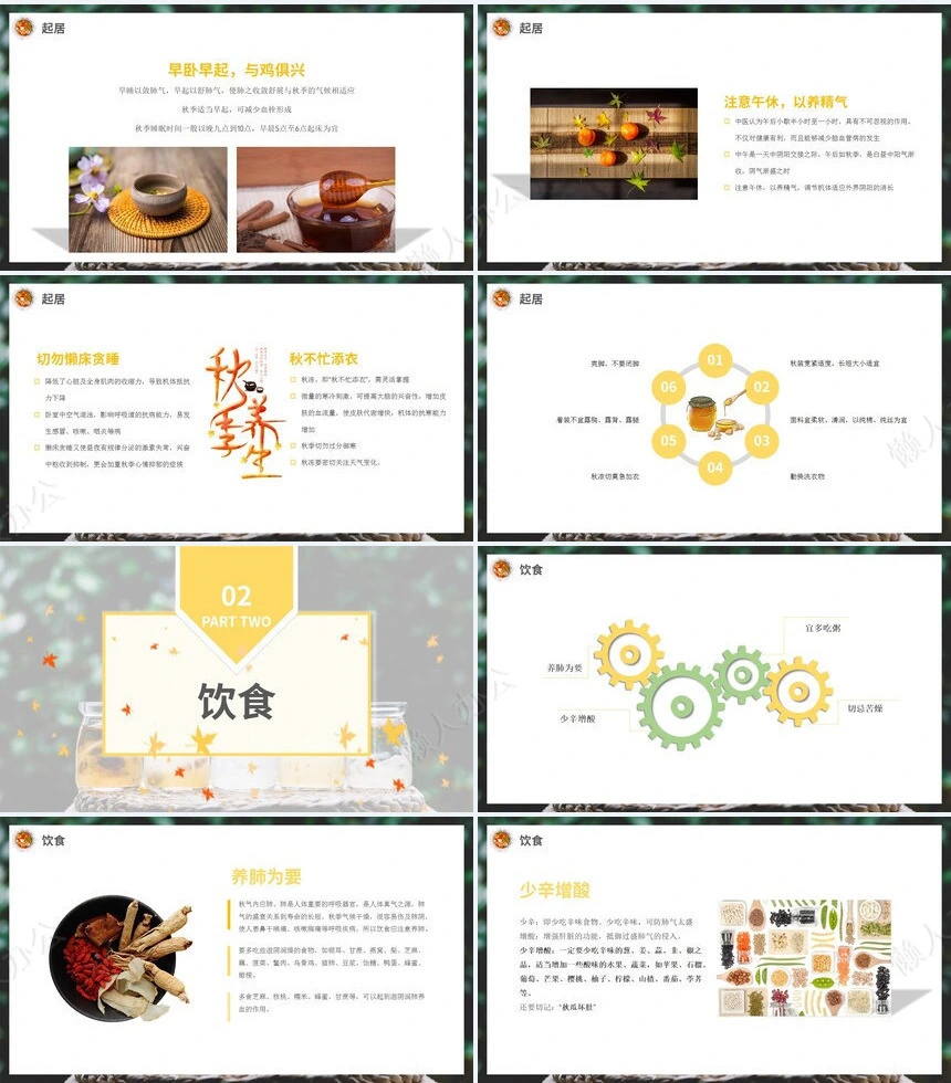 秋季养身通用PPT模版(43)