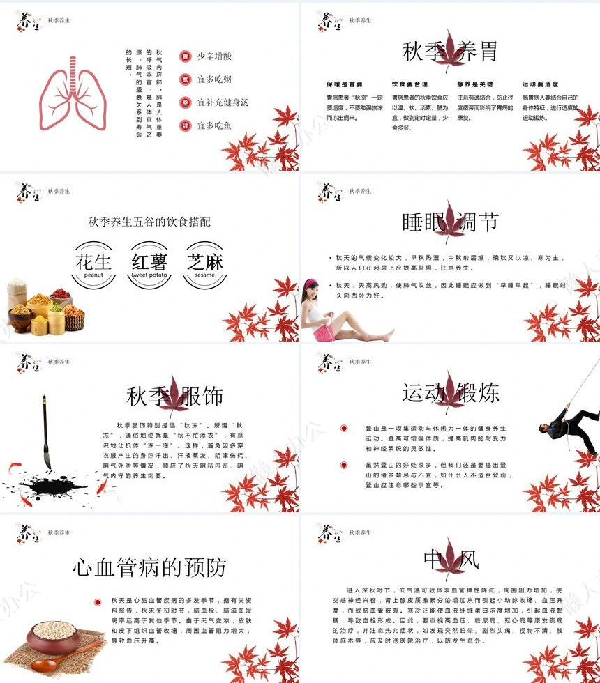 秋季养身通用PPT模版(44)