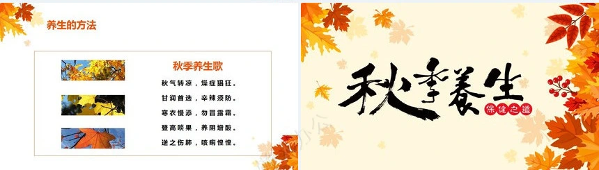 秋季养身通用PPT模版(46)