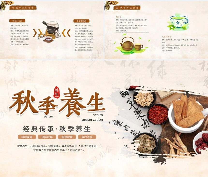 秋季养身通用PPT模版(6)