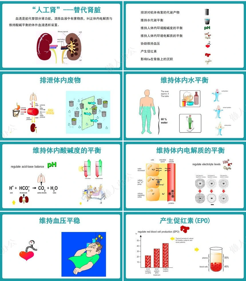 血液透析个案护理