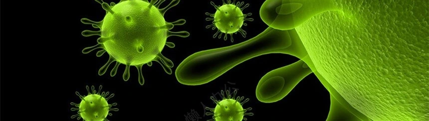 医疗医学工作总结汇报通用PPT模板(50)