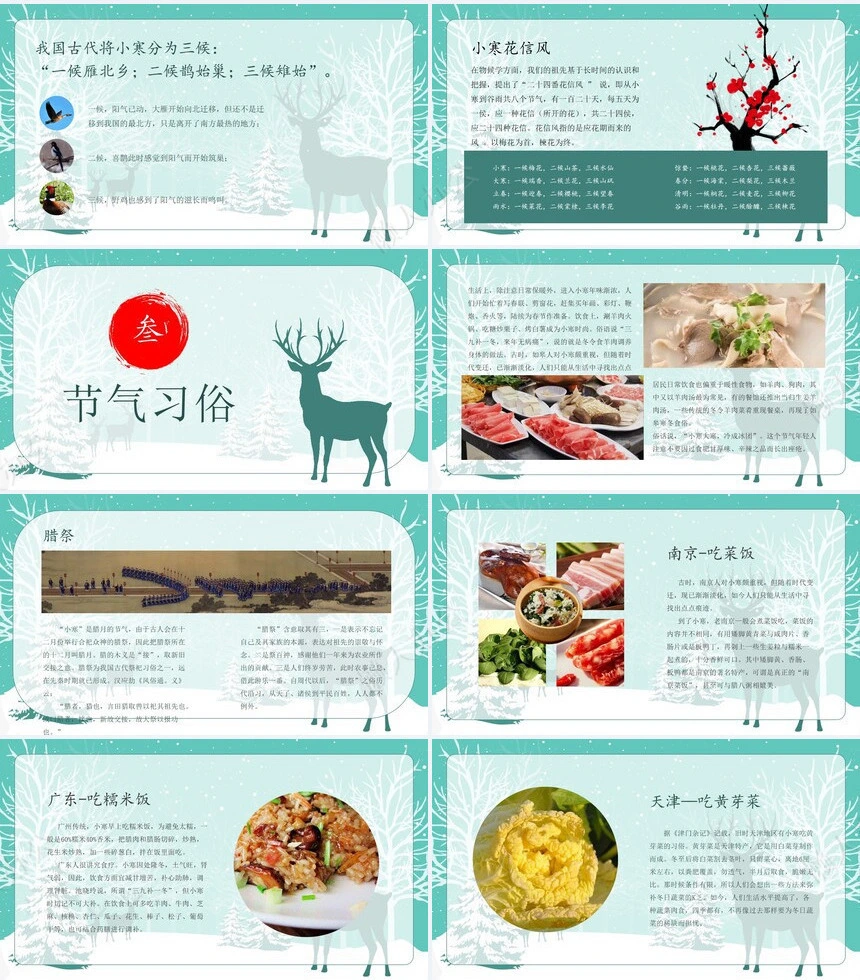 二十四节气小寒通用PPT模板(11)