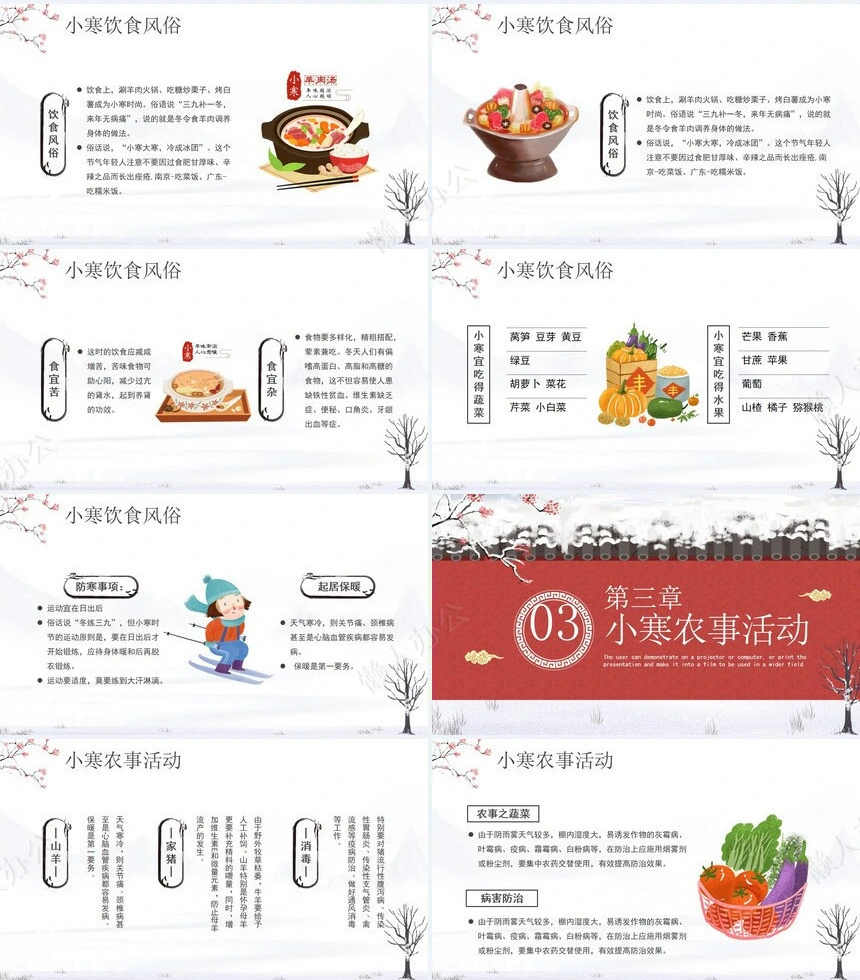 二十四节气小寒通用PPT模板(20)