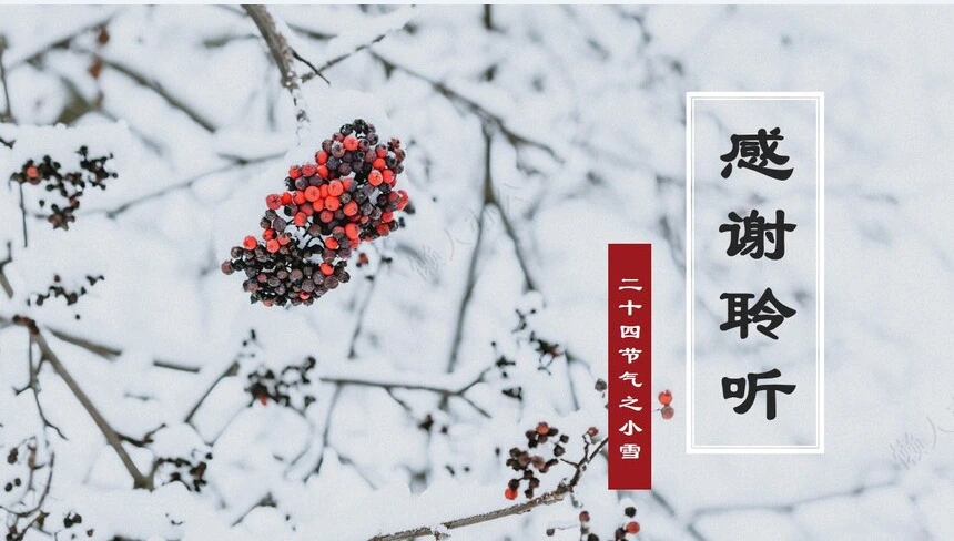 二十四节气小寒通用PPT模板(3)
