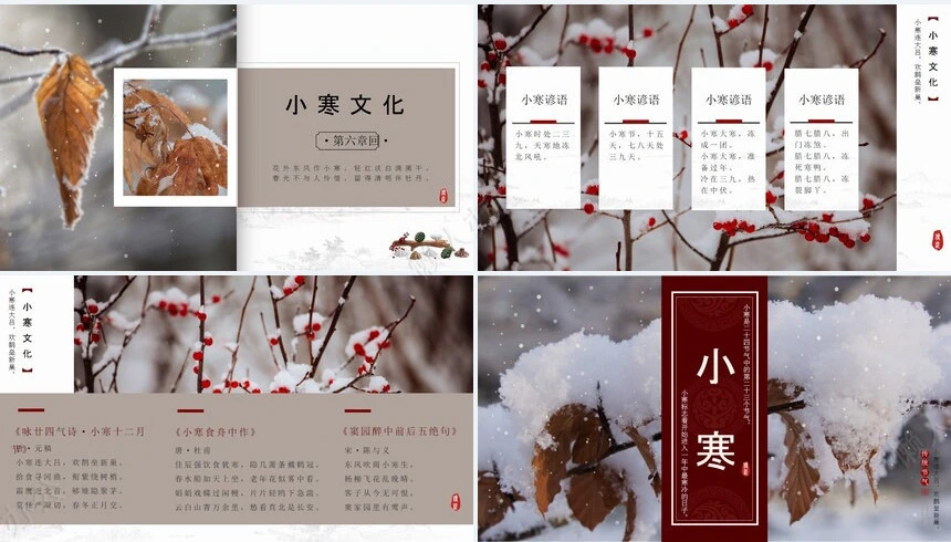 二十四节气小寒通用PPT模板(37)