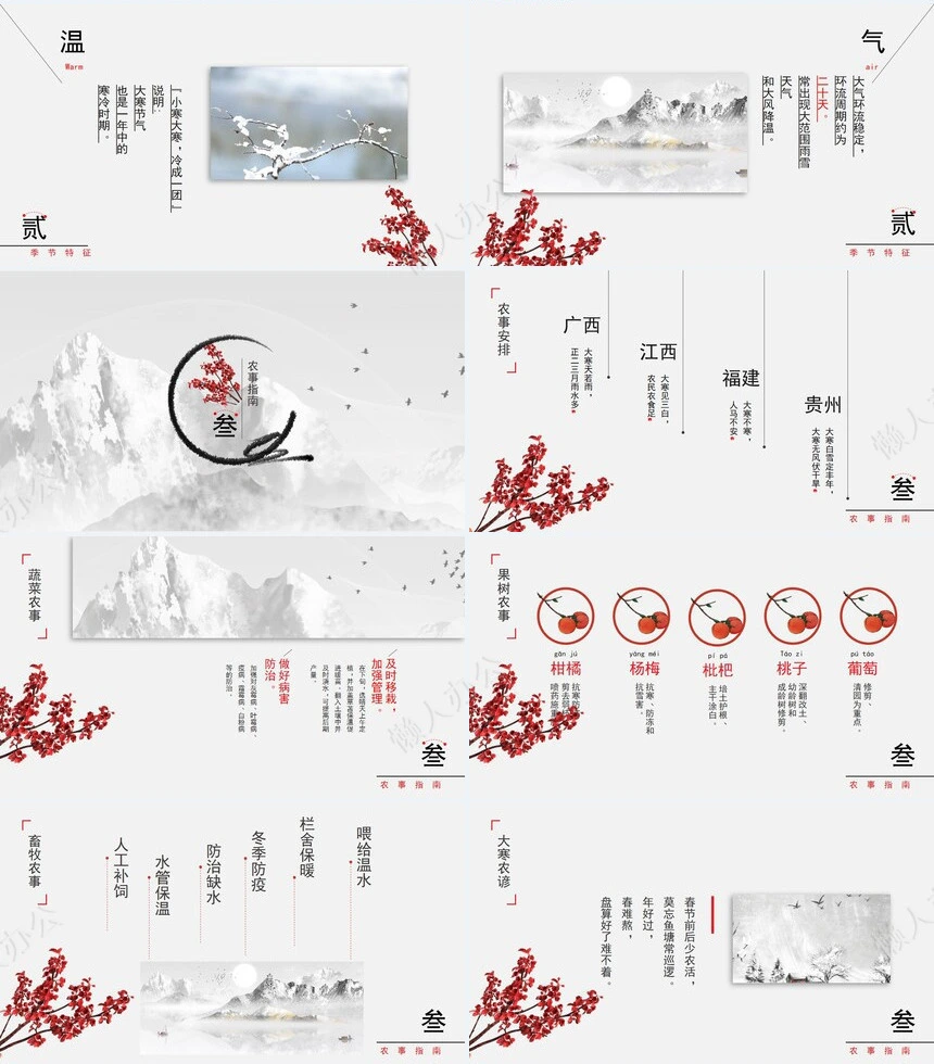 二十四节气大寒通用PPT模板(8)