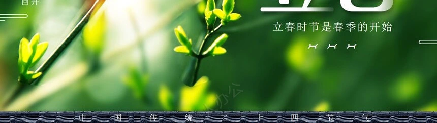 二十四节气立春通用PPT模板(14)