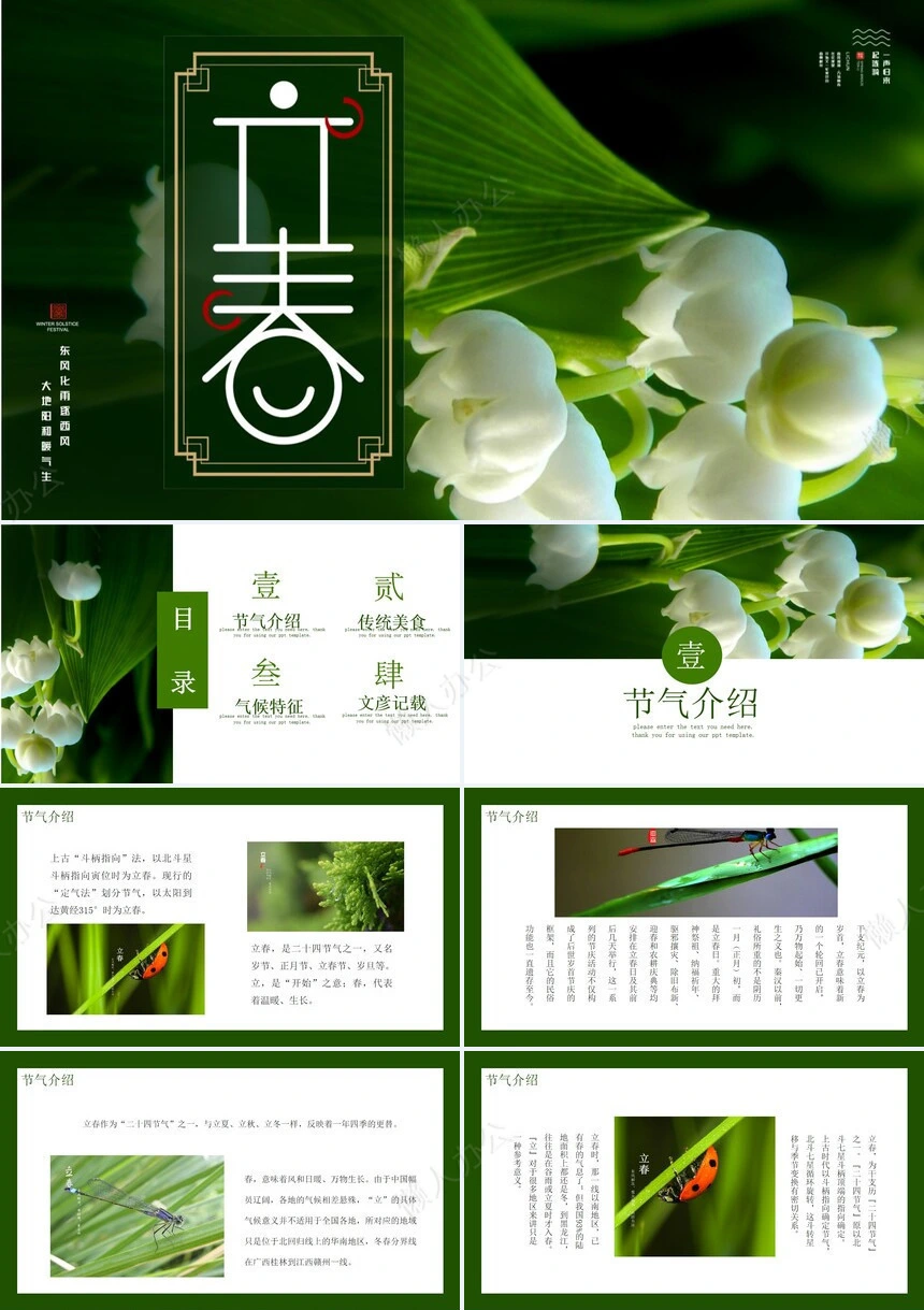 二十四节气立春通用PPT模板(25)