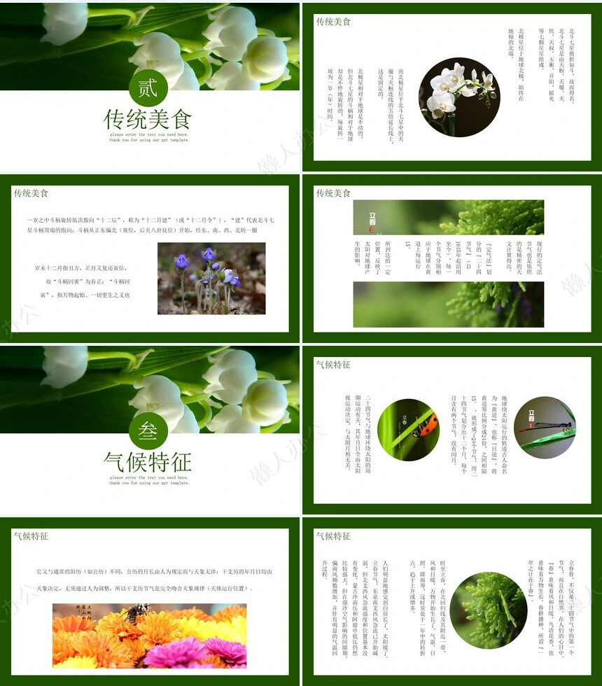 二十四节气立春通用PPT模板(25)