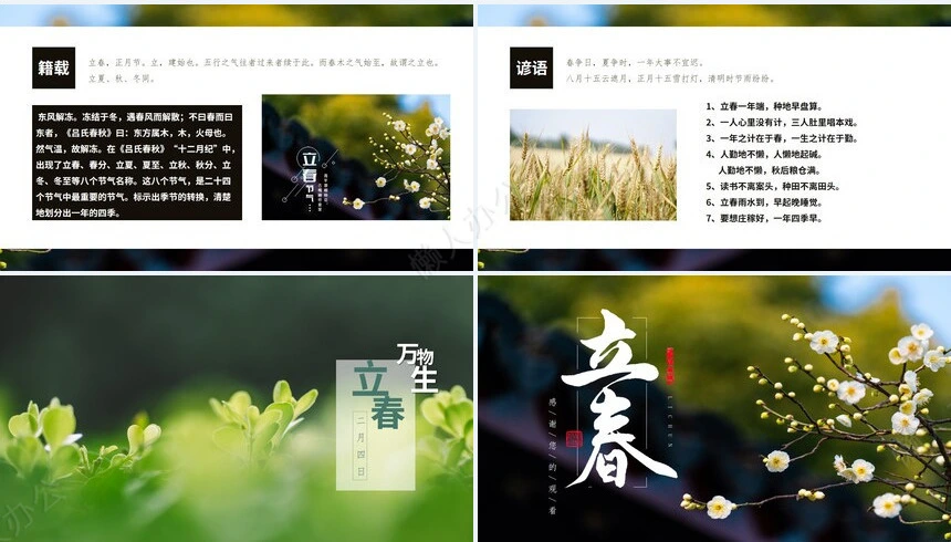 二十四节气立春通用PPT模板(30)