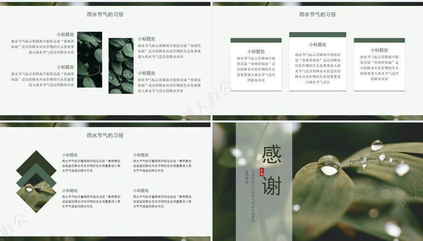 二十四节气雨水通用PPT模板(6)
