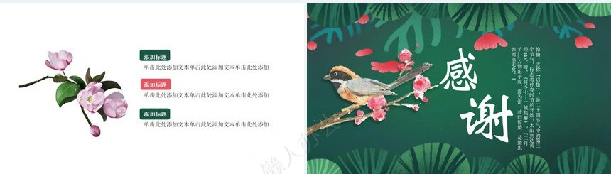 二十四节气惊蛰通用PPT模板(22)