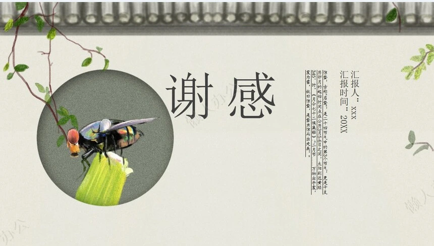 二十四节气惊蛰通用PPT模板(31)