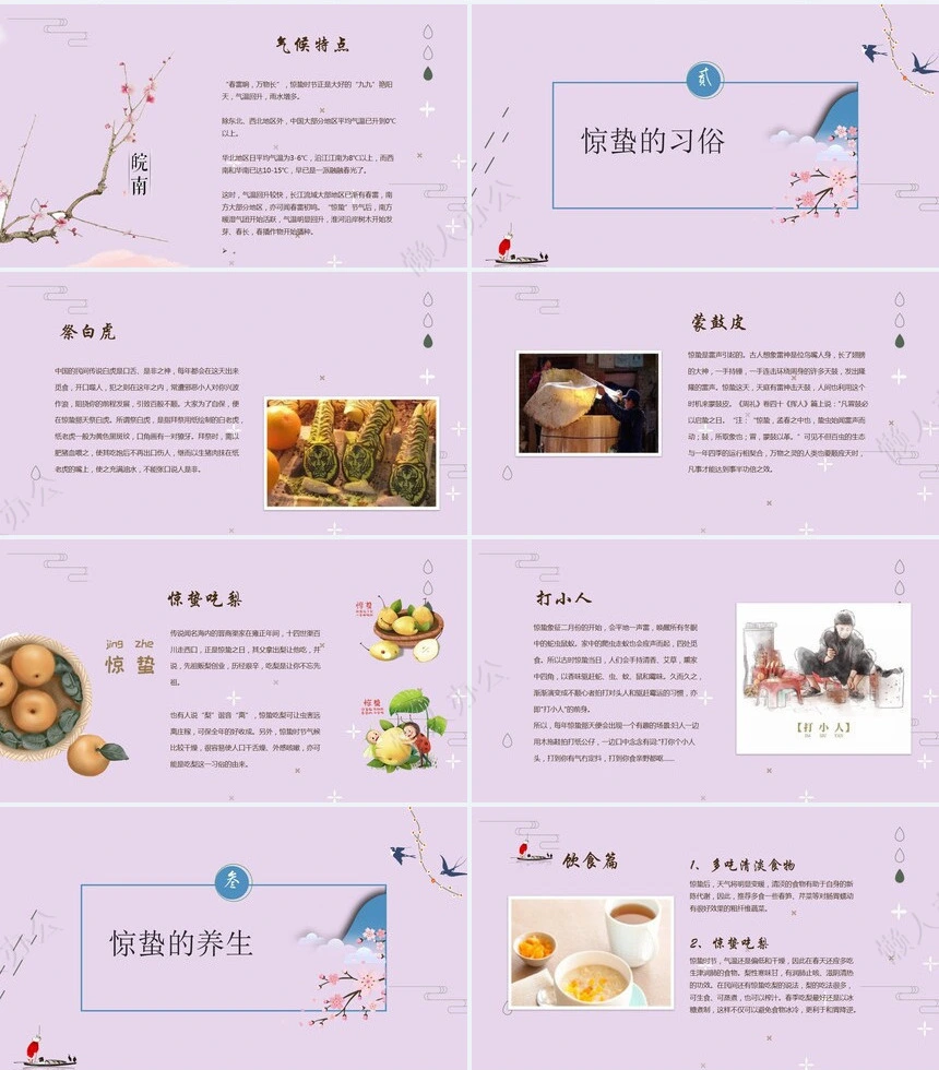 二十四节气惊蛰通用PPT模板(44)