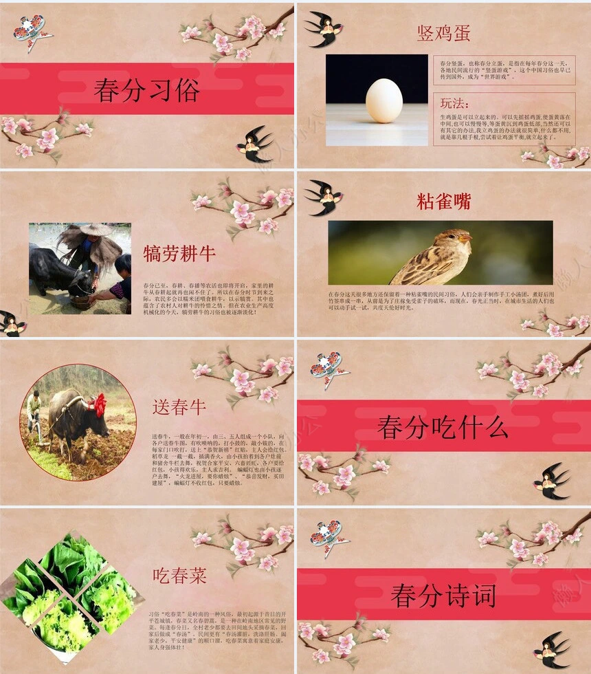 二十四节气春分通用PPT模板(12)