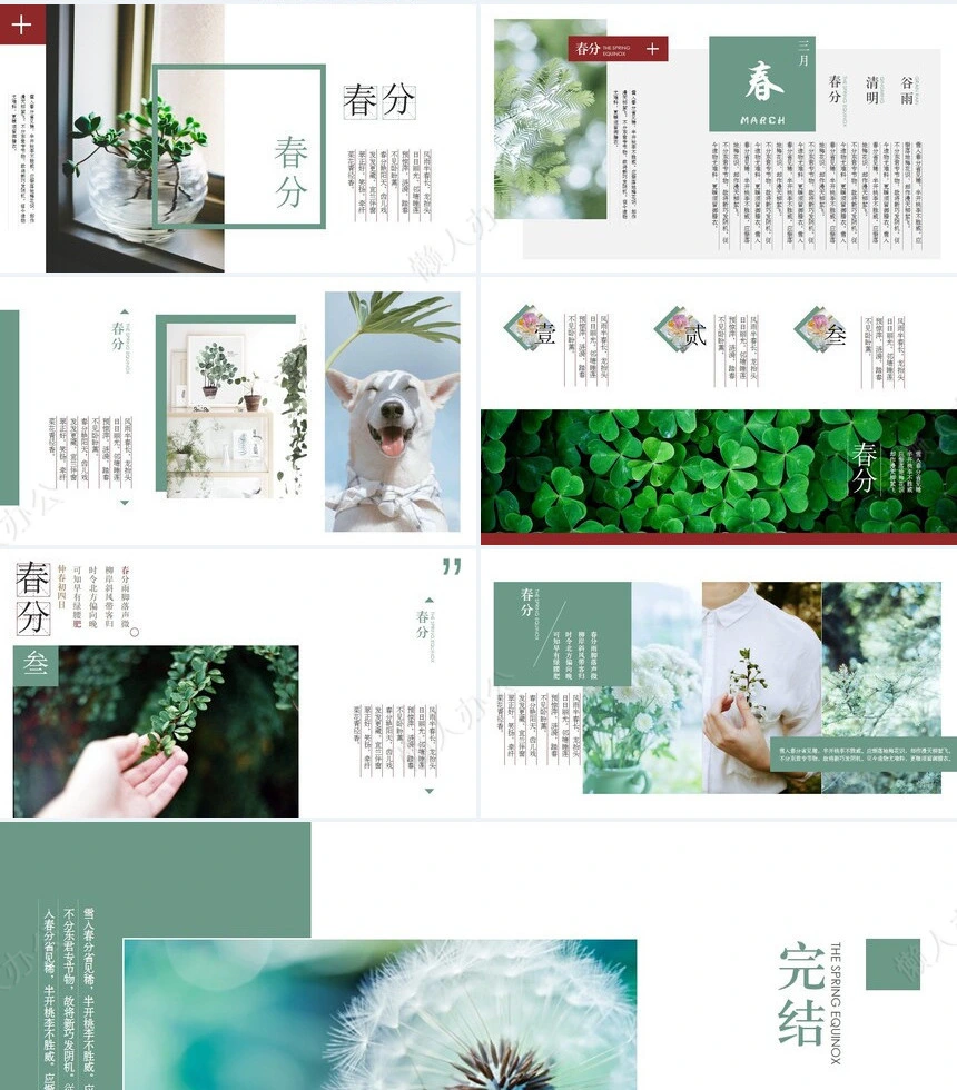 二十四节气春分通用PPT模板(38)