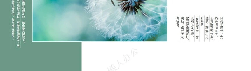 二十四节气春分通用PPT模板(38)