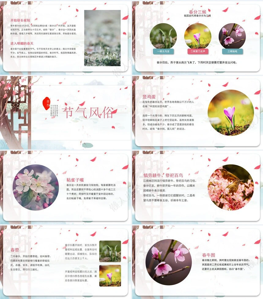 二十四节气春分通用PPT模板(42)