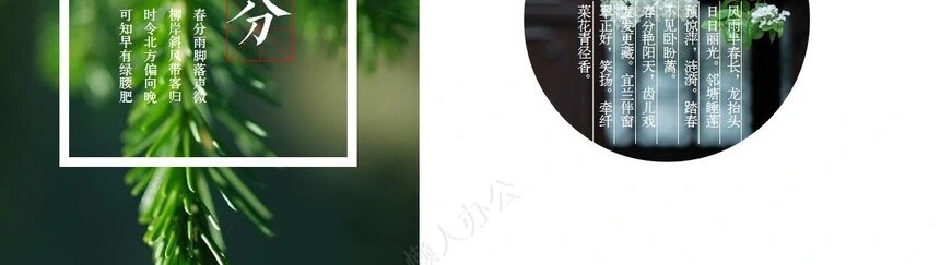二十四节气春分通用PPT模板(8)