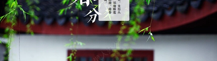 二十四节气春分通用PPT模板(9)