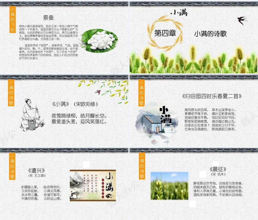 二十四节气小满通用PPT模板(1)