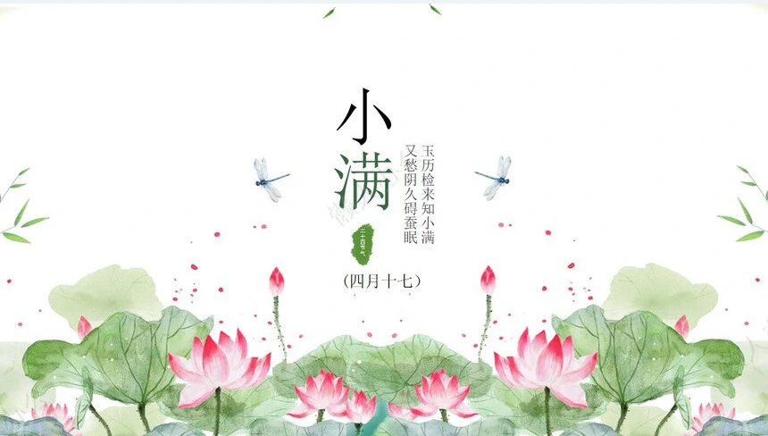 二十四节气小满通用PPT模板(10)