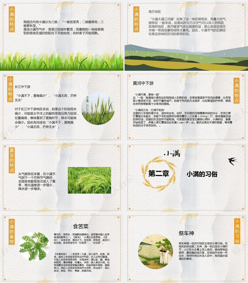 二十四节气小满通用PPT模板(12)
