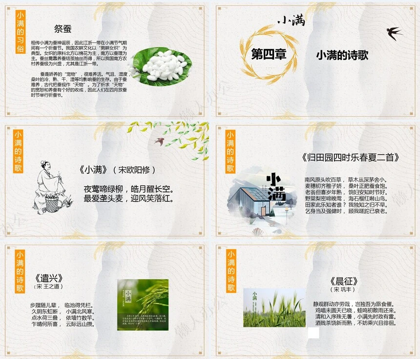 二十四节气小满通用PPT模板(12)