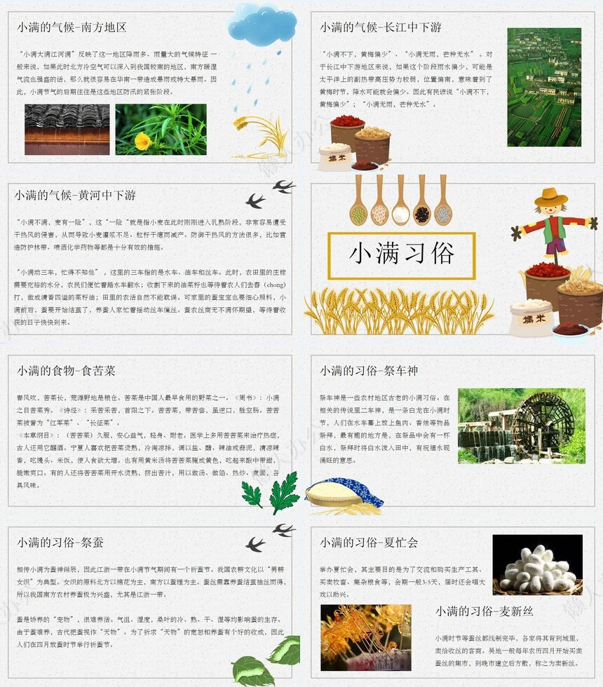 二十四节气小满通用PPT模板(14)
