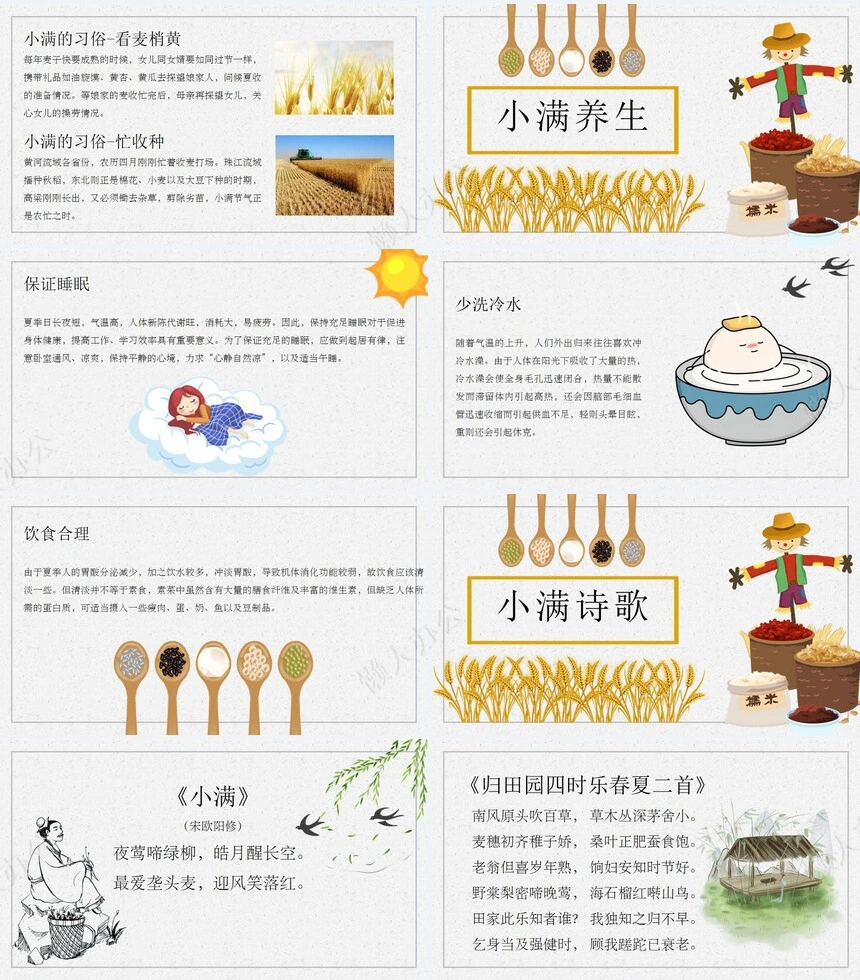 二十四节气小满通用PPT模板(14)