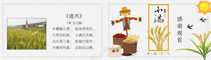 二十四节气小满通用PPT模板(14)