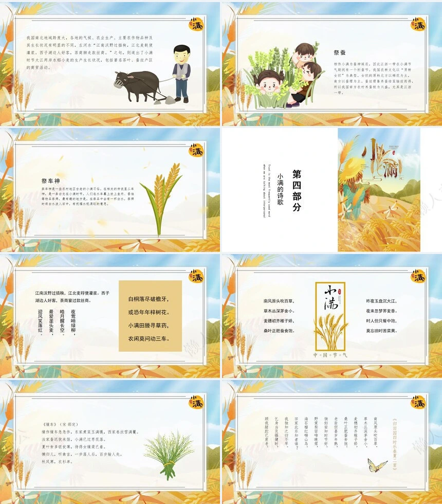 二十四节气小满通用PPT模板(5)