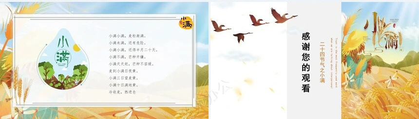 二十四节气小满通用PPT模板(5)