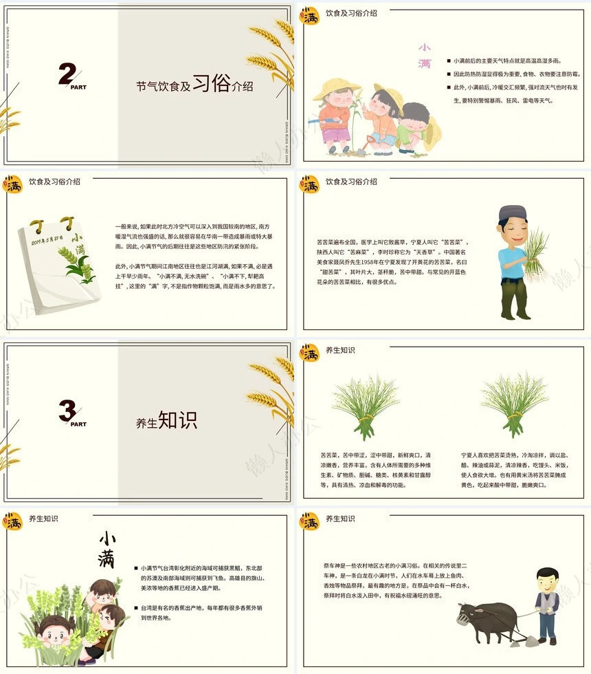 二十四节气小满通用PPT模板(7)