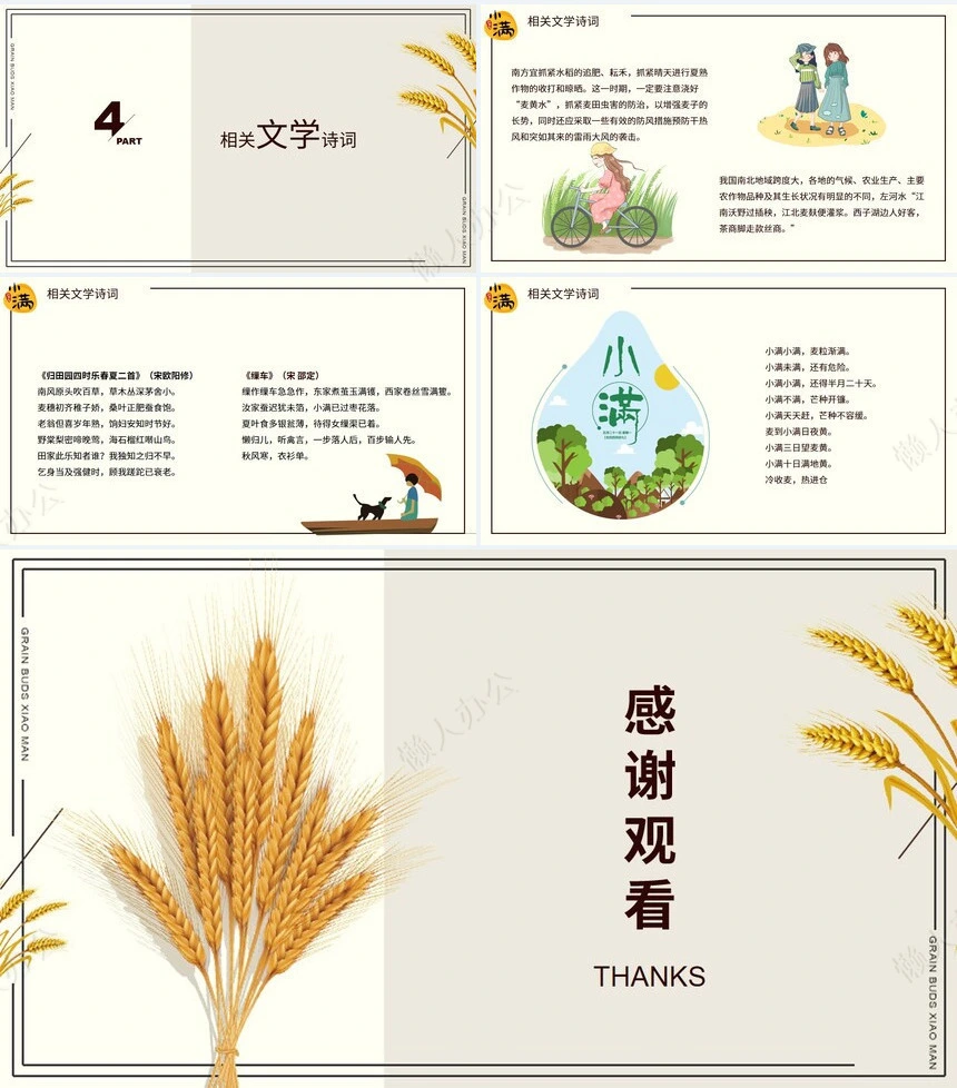 二十四节气小满通用PPT模板(7)