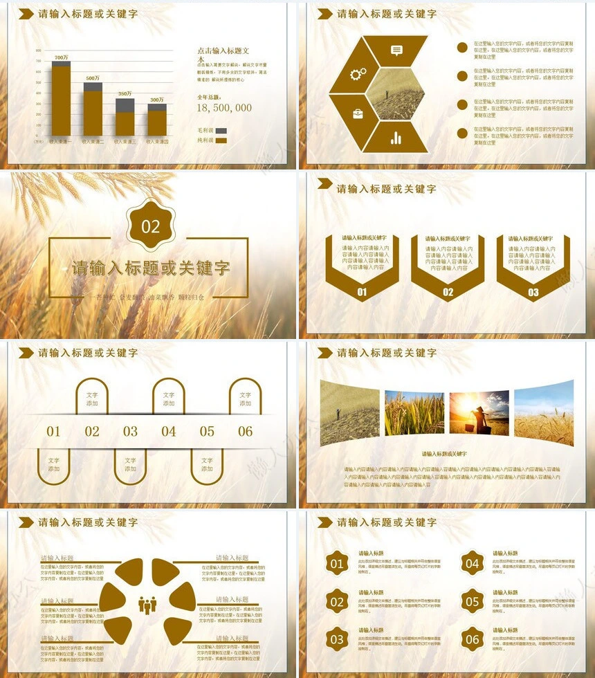 二十四节气芒种通用PPT模板(1)