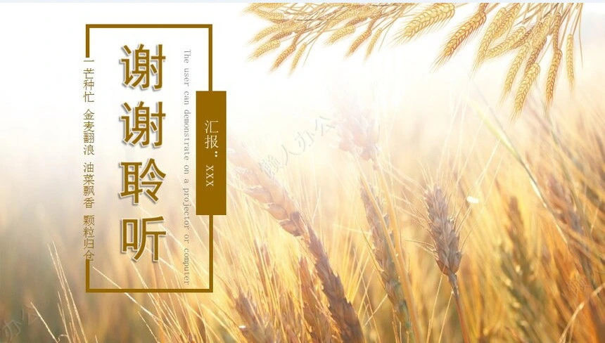 二十四节气芒种通用PPT模板(1)