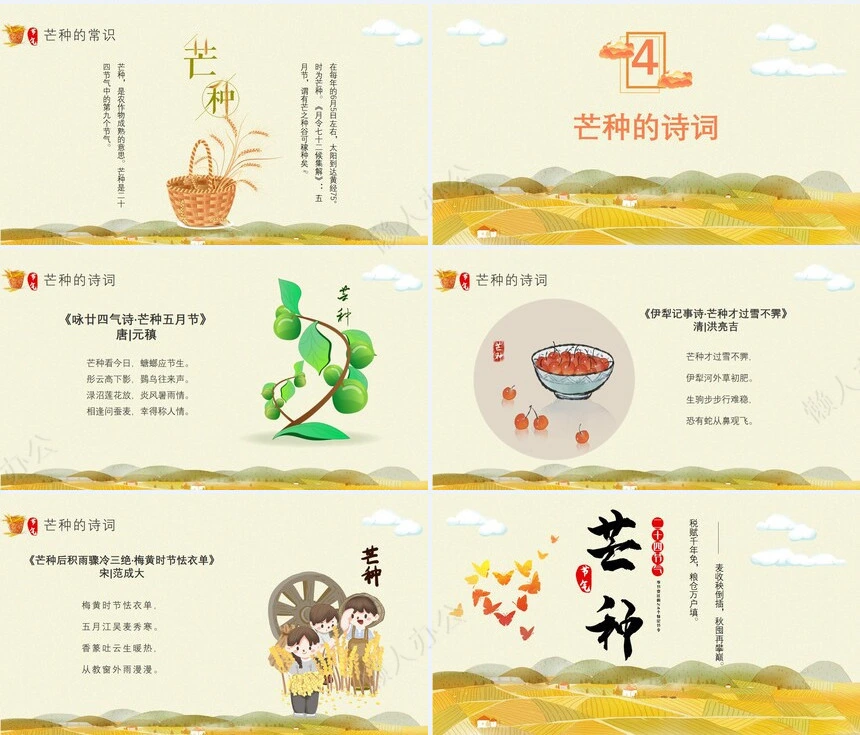 二十四节气芒种通用PPT模板(11)