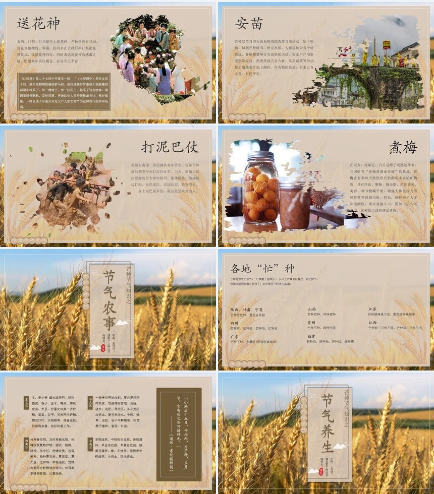 二十四节气芒种通用PPT模板(4)