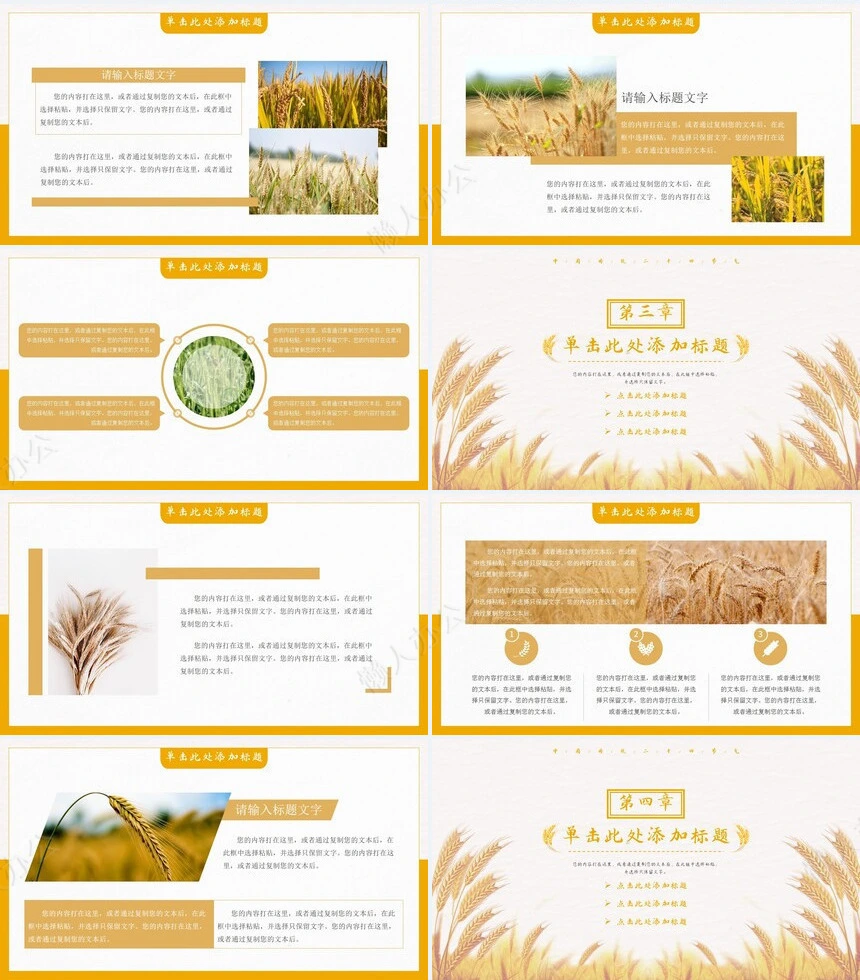 二十四节气芒种通用PPT模板(5)