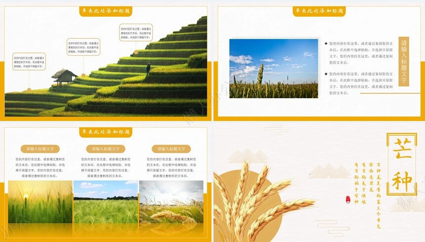 二十四节气芒种通用PPT模板(5)