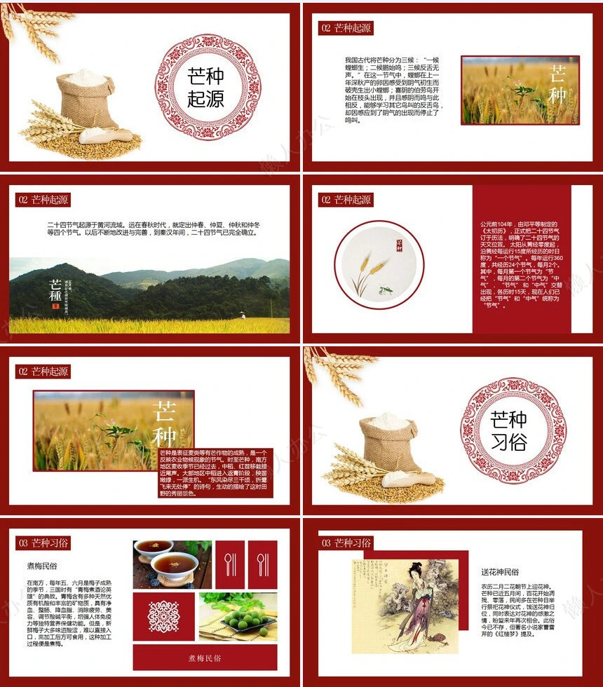 二十四节气芒种通用PPT模板(9)