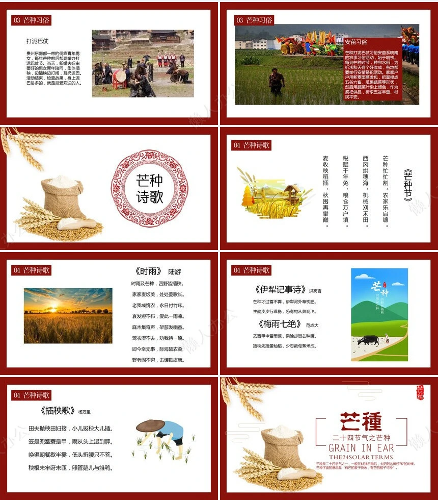 二十四节气芒种通用PPT模板(9)