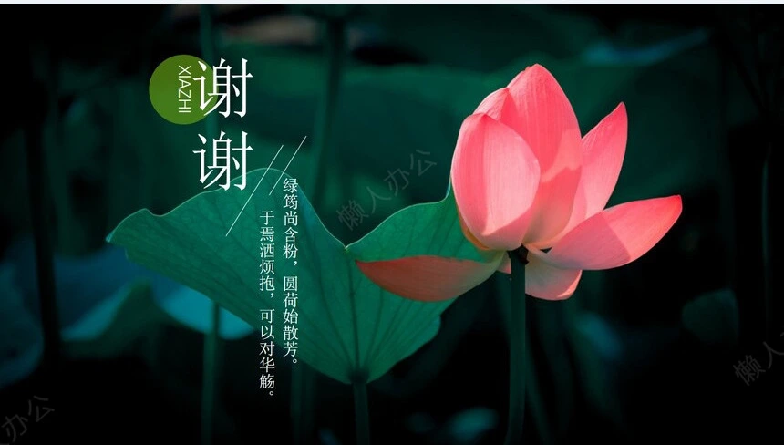 二十四节气夏至通用PPT模板(31)