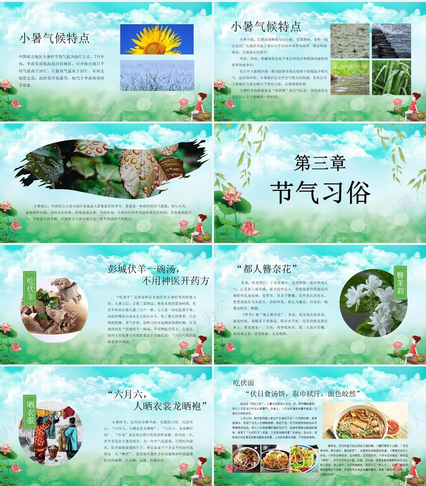 二十四节气小暑通用PPT模板(15)