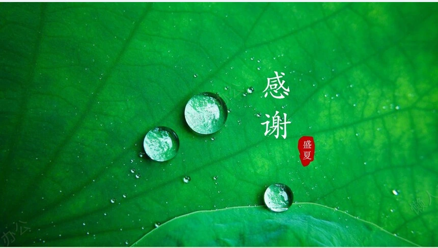 二十四节气大暑通用PPT模板(11)